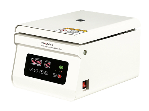 Sanesis