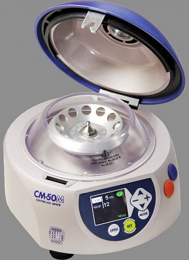 Sanesis