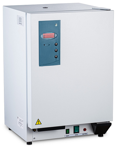 Sanesis